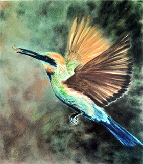 Rainbow Bee Eater by Elsbeth Gartly-Strassmann